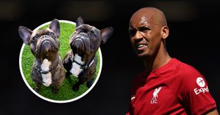 Fabinho of Liverpool with two French bulldogs in an insert
