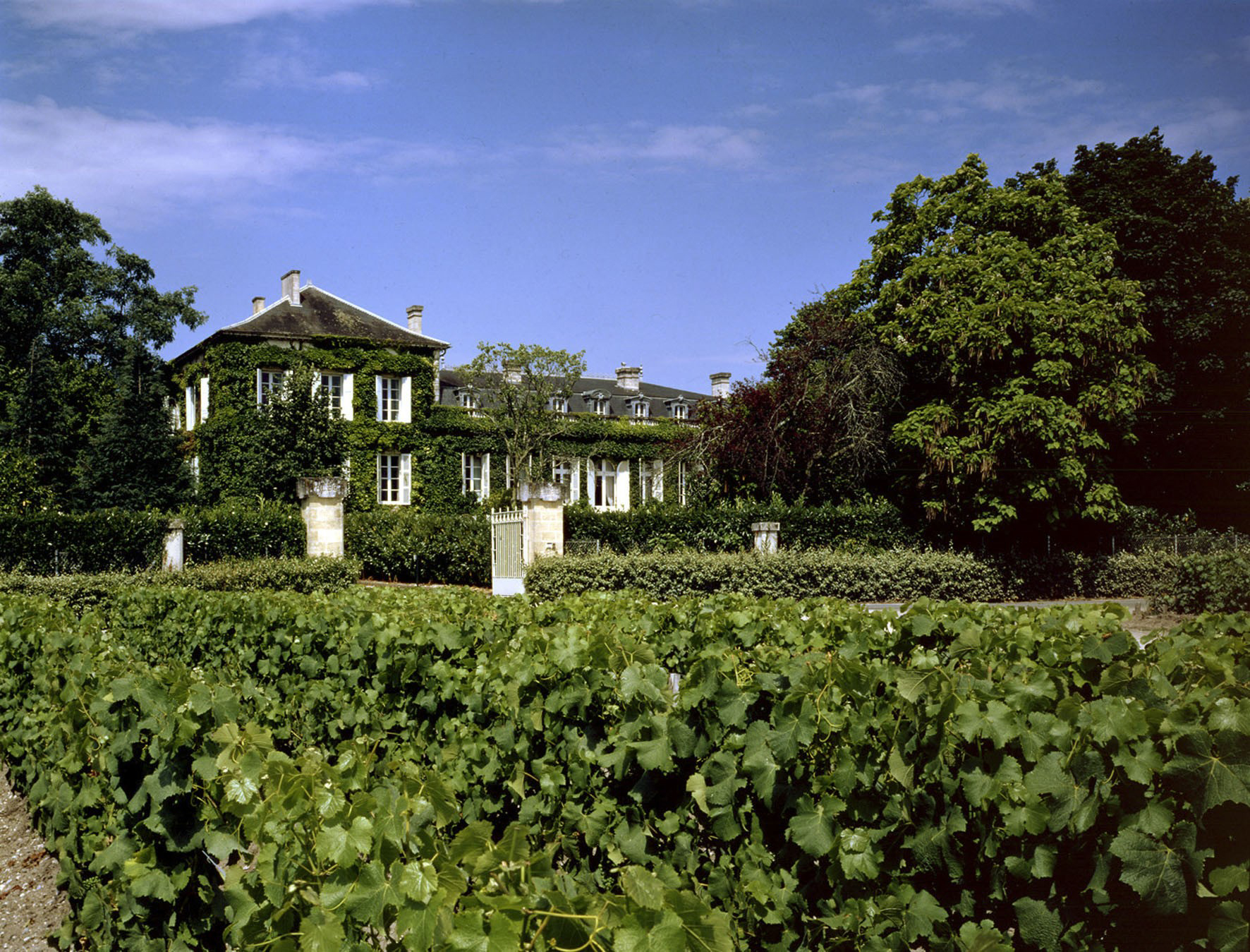 chateau talbot, 1855 Chateaux