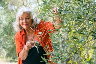Carol Drinkwater trims an olive tree in A Year In Provence with Carol Drinkwater