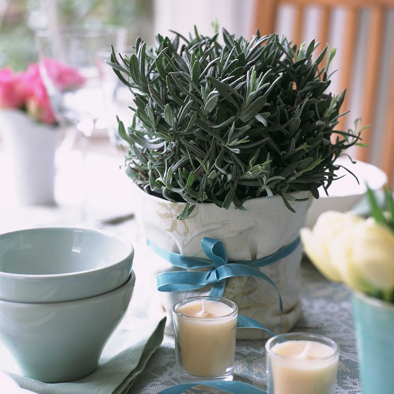 Can I grow lavender indoors? Expert tips for healthy plants Ideal Home