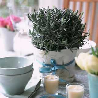 lavender in a pot on a table with candles