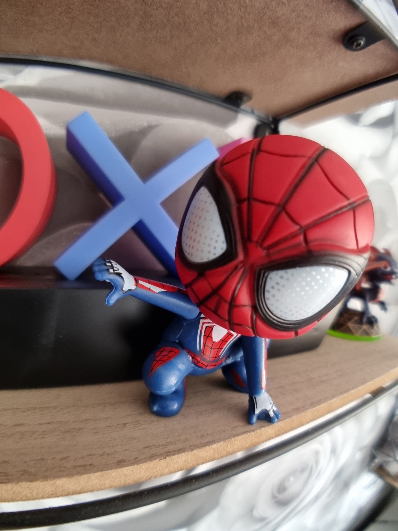 Moment Fisheye Lens Review
