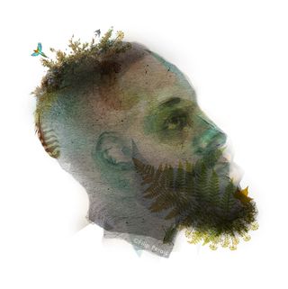 James Harden illustration