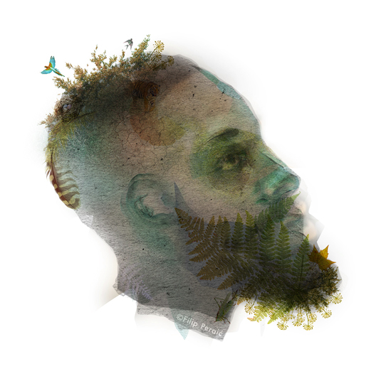 James Harden illustration