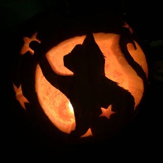 cat and stars pumpkin
