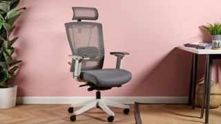 The FlexiSpot Ergonomic Office Chair BS14 is pictured against a pink background.