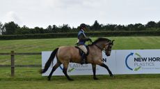Thunderbolt Fairy Robin Bambi wins the 2024 amateur riders M&M championship