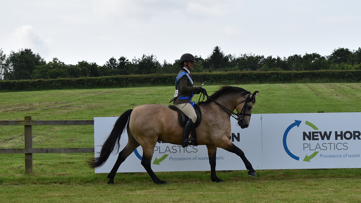 Thunderbolt Fairy Robin Bambi wins the 2024 amateur riders M&amp;amp;M championship