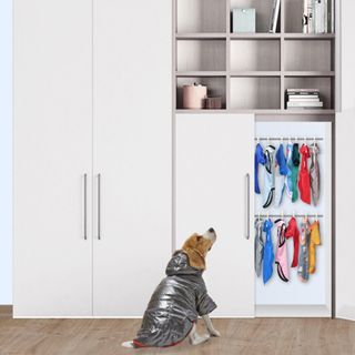living room with brown dog and white wardrobe