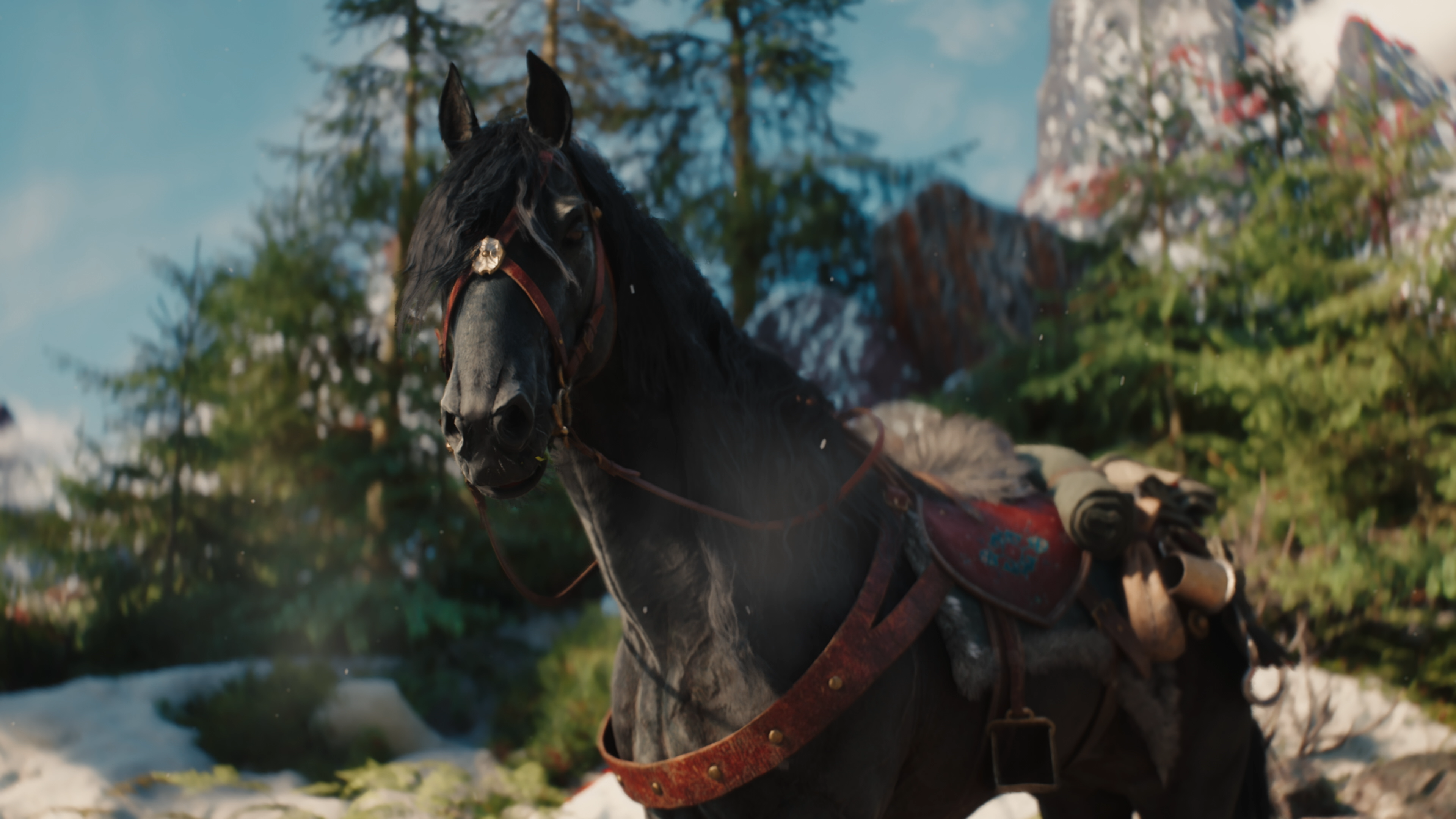 The Witcher 4