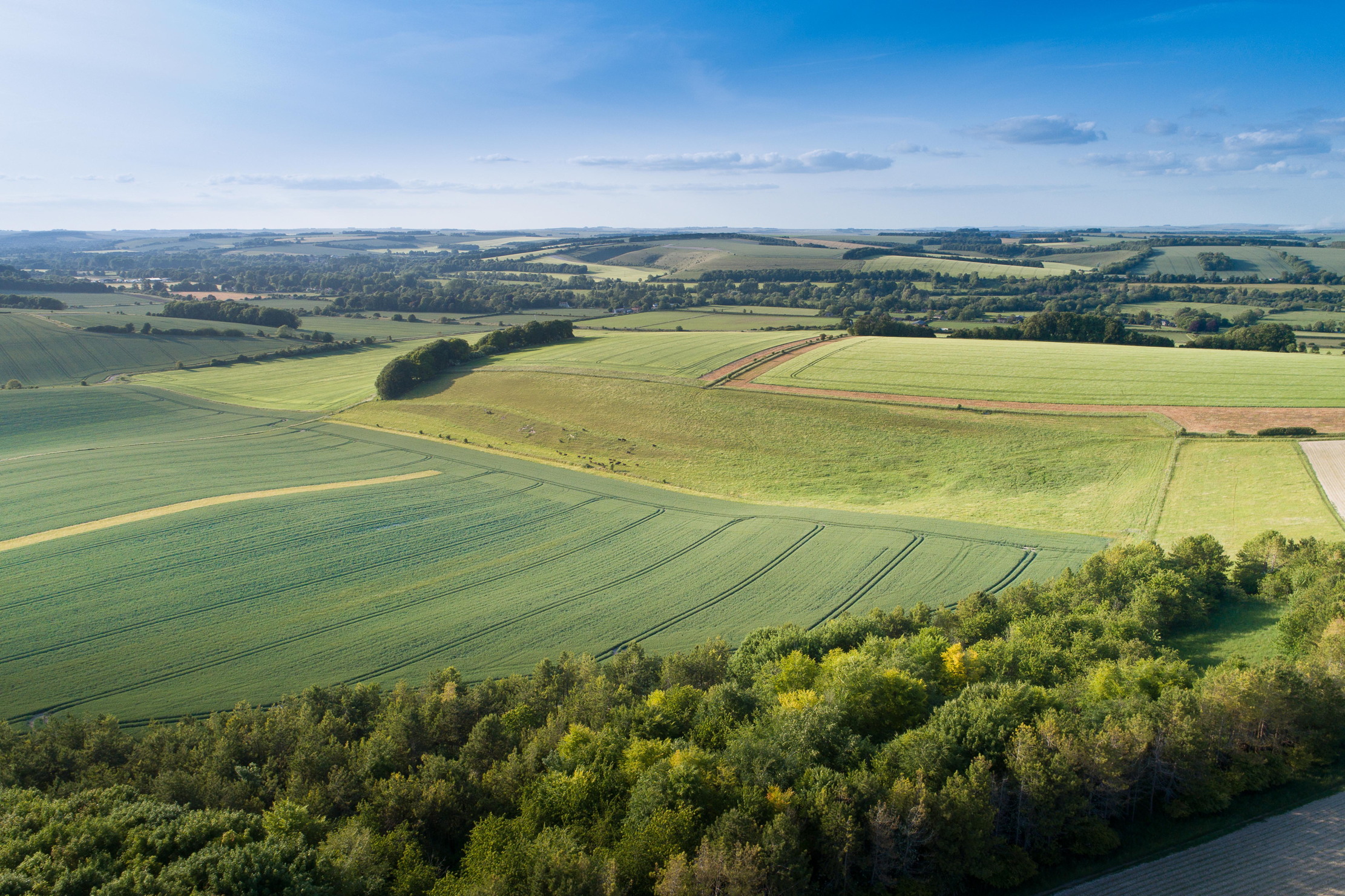 The Glorious Bapton Manor estate
