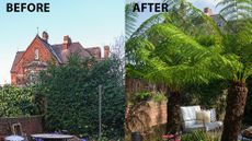 before and after makeover of garden with green trees