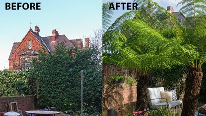 before and after makeover of garden with green trees