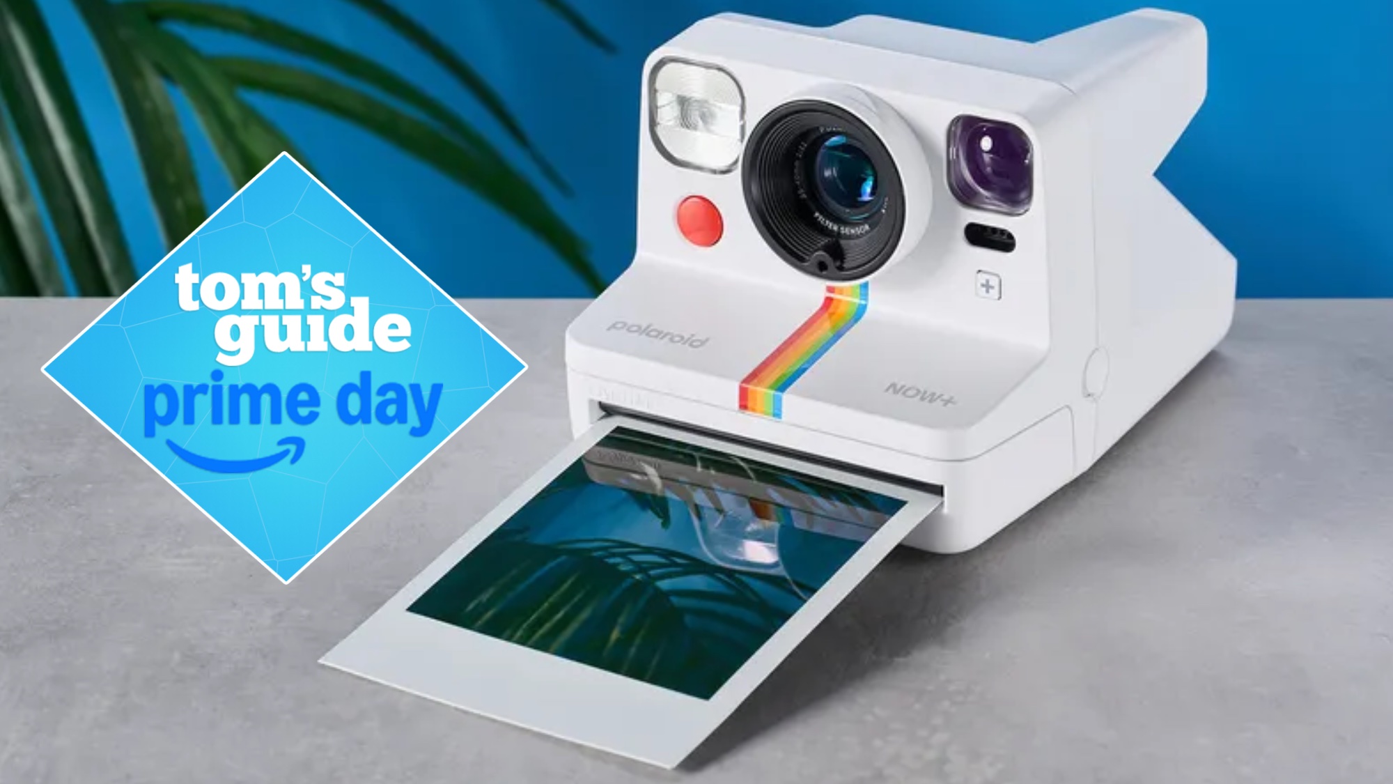 Polaroid Now+ Gen 2