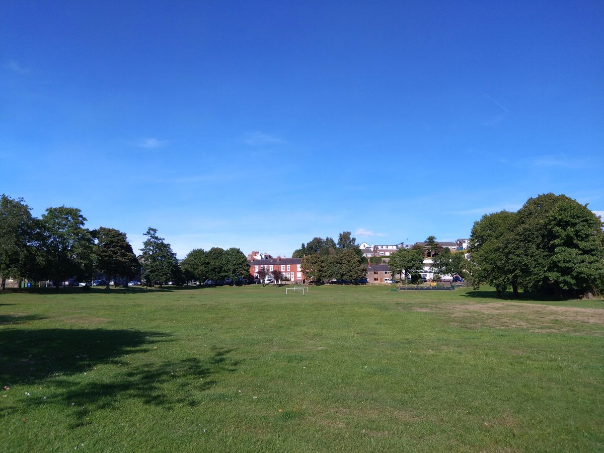 Sony Xperia 10 IV camera sample showing an open green space