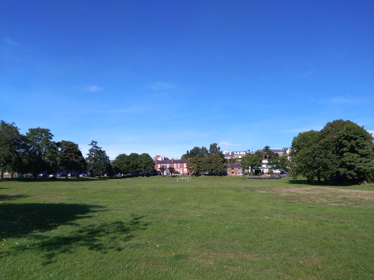 Sony Xperia 10 IV camera sample showing an open green space
