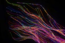abstract flowing data made out of numbers and glowing turbulent multi coloured splines on black background