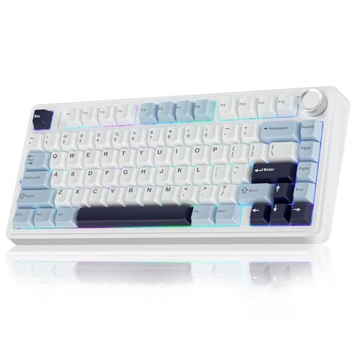 F75 75% Wireless Mechanical Keyboard, Hot Swappable