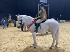 Alicia Devlin Byrne and Blackwood Fernando won the M&M working hunter exc 143cm final at HOYS 2021