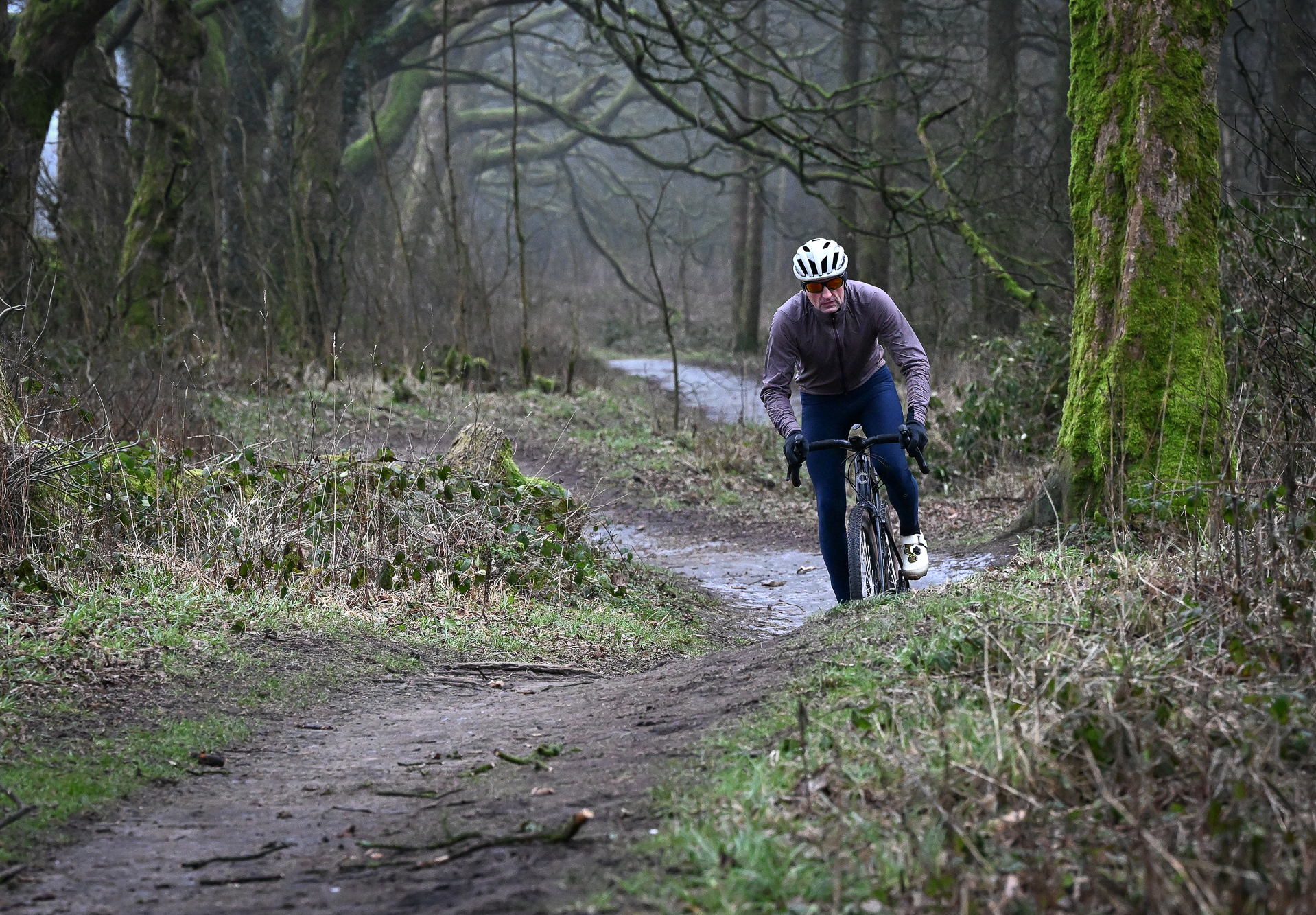 Man riding a gravel bike on a windy trail through some woods