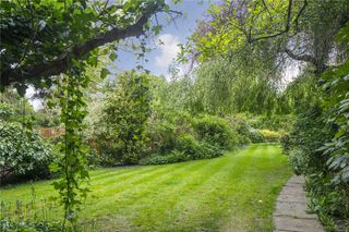 Heathside garden