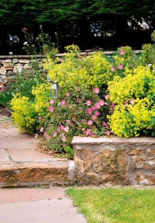 tiered garden ideas: stone wall and step with planting