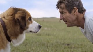 Dennis Quaid in A Dog's Purpose