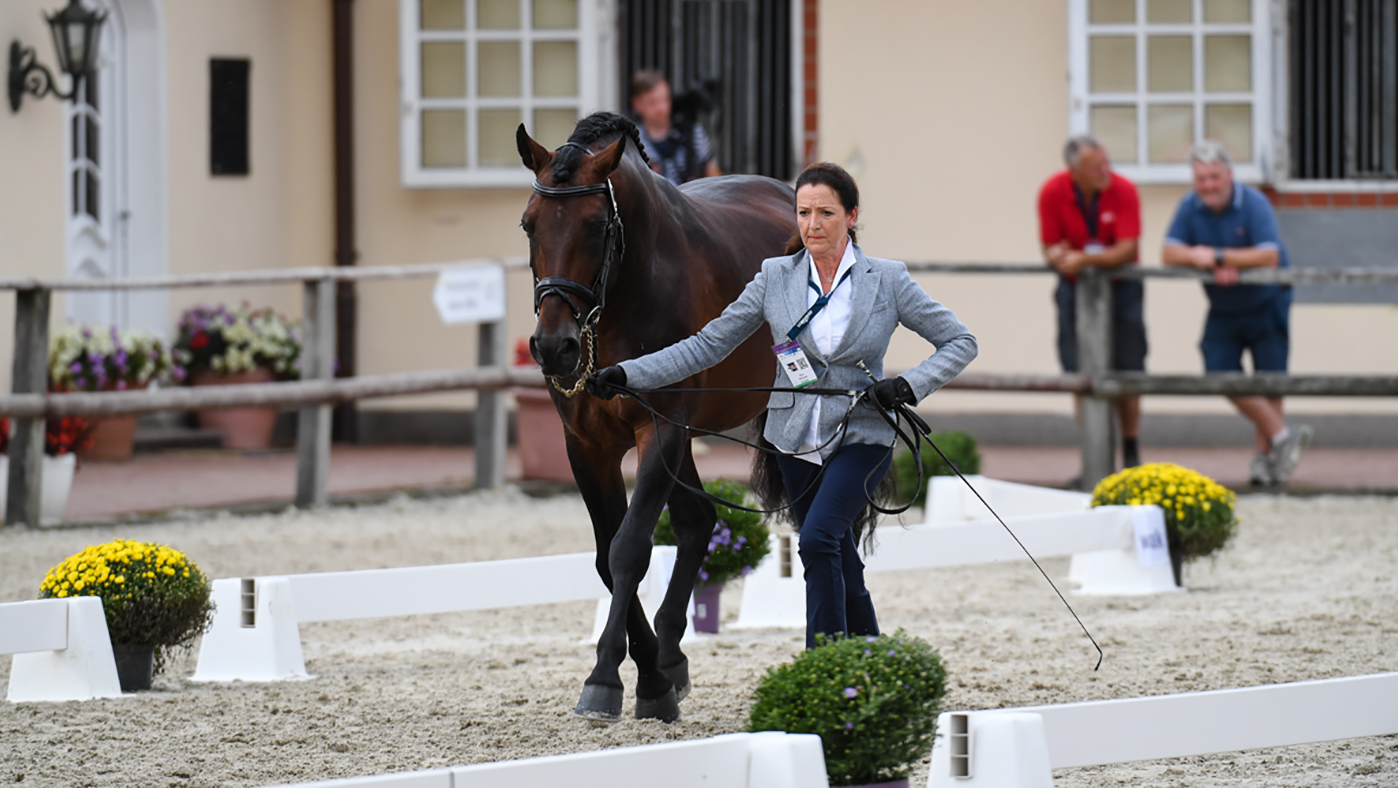 European Dressage Championships trot up -