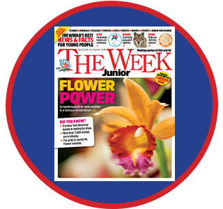 The Week Junior Education Program #308