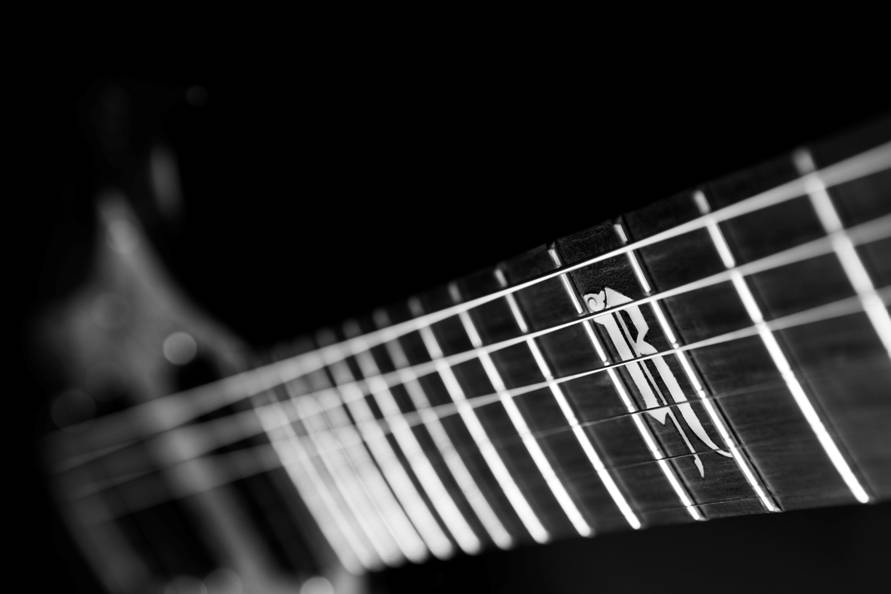 If you're making a custom guitar, you'll need a custom inlay