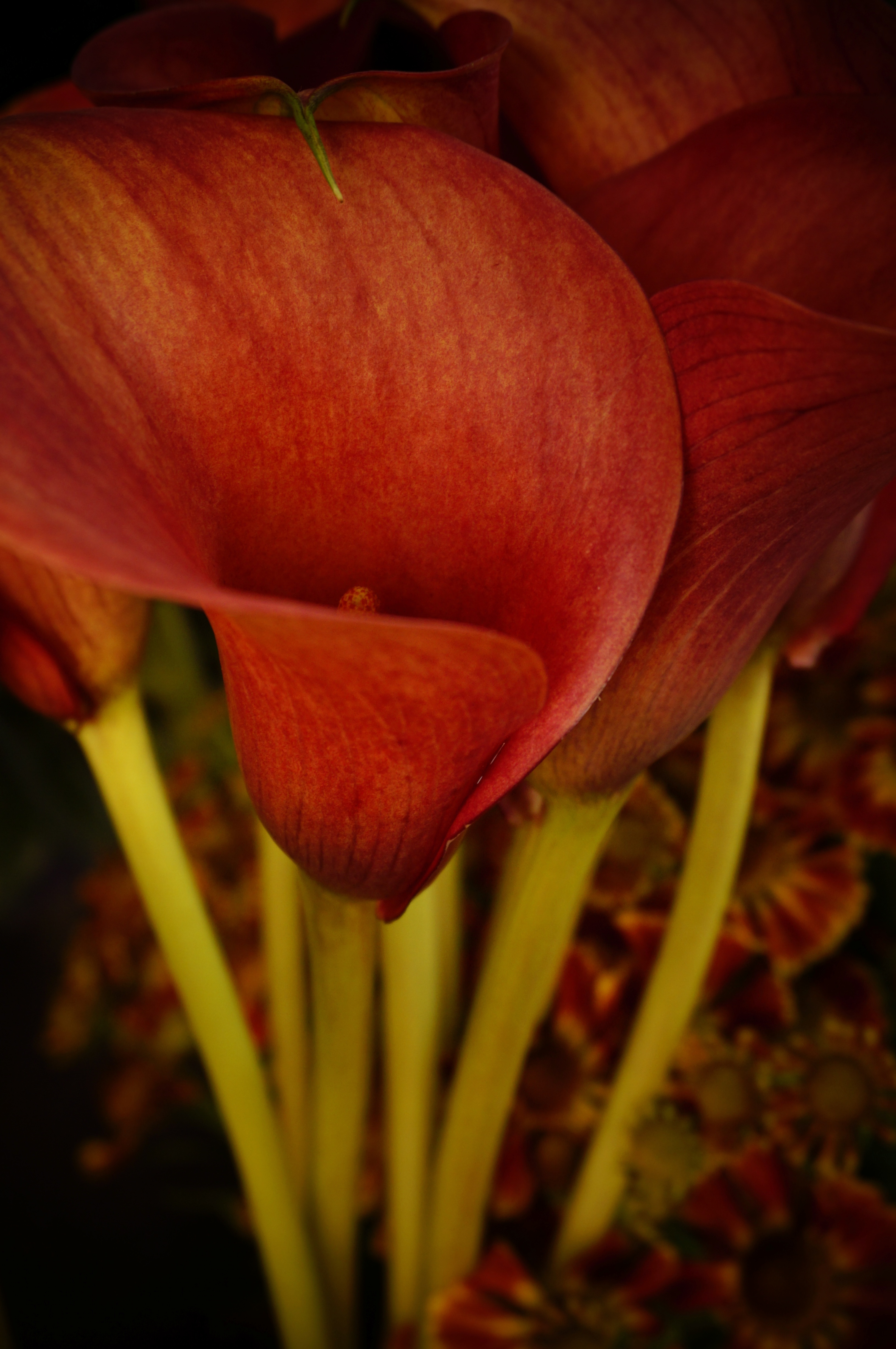 Sony NEX-6 review