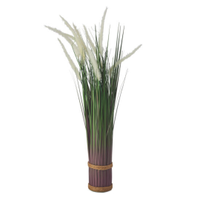 White Dog Tail Grass Bundle, £14.99 | Aldi