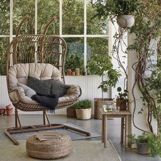 a brown cushioned wicker swing chair in a white conservatory, a selection of pot plants, climbing and hanging plants, with lots of greenery shown through the windows