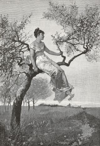 Victorian illustration of woman in tree