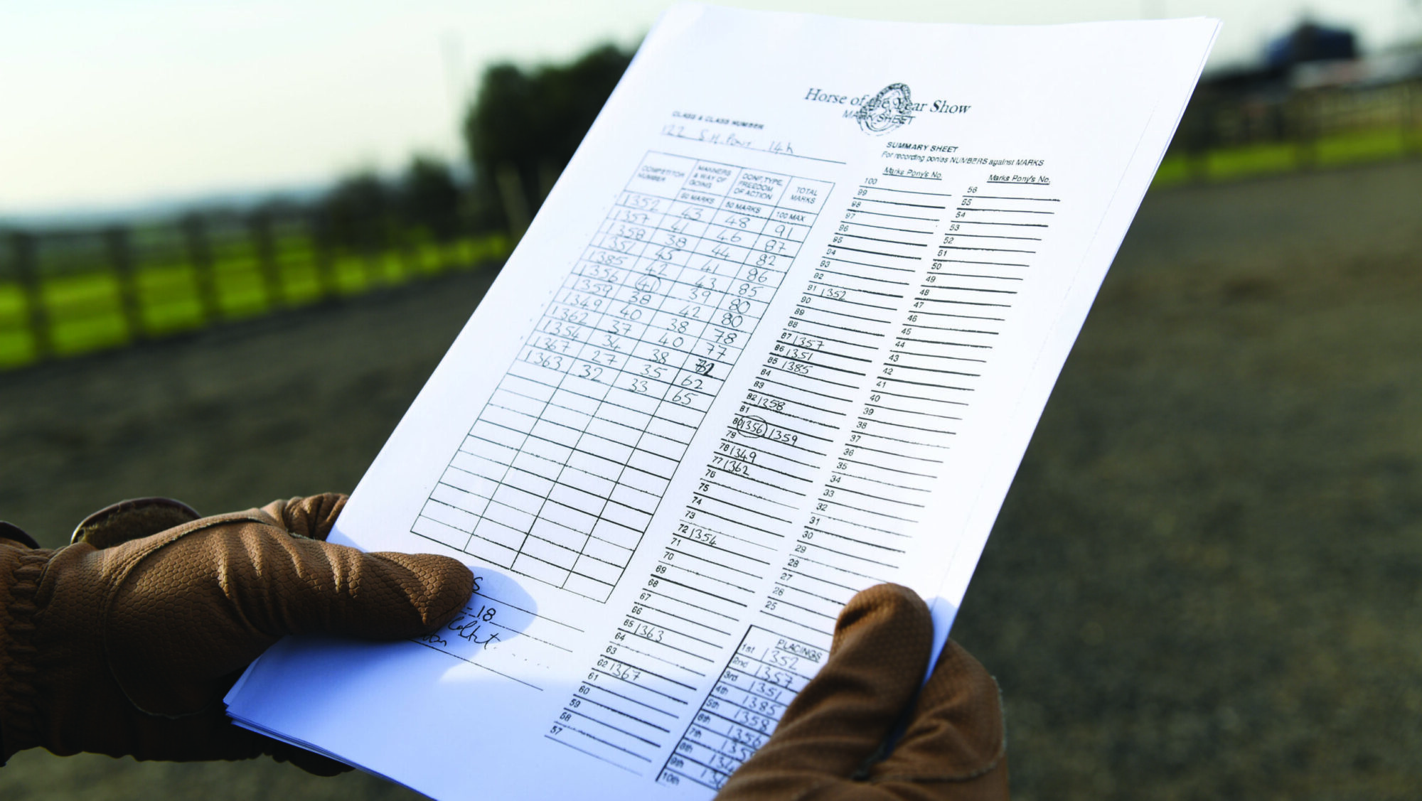 HOYS mark sheet