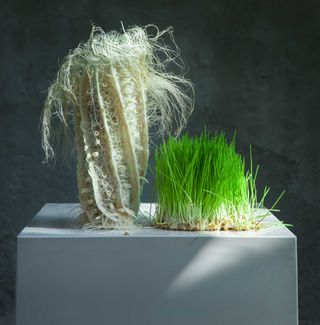 a vase made from grass root