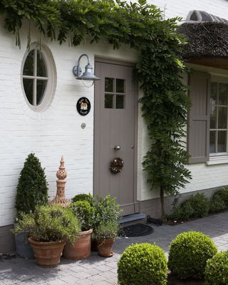 Front door painted grey with climbing plants growing over it
