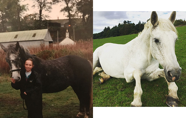 &ldquo;This is my beloved mare Mhea. I got her when she was four and I was 13. Twenty years later and we are still together and going strong. She is Hanoverian x Arab/Connemara and the smartest, quirkiest and most loving little horse I&rsquo;ve had the pleasure of being in the presence of. The in-hand picture is the day I got her and the other is how she looks now&rdquo; &mdash; Pam Smith