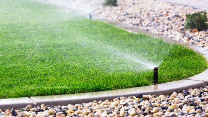 watering a lawn with sprinklers