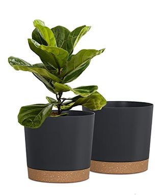 Kubvici Plant Pots for Indoor Plants, 2 Pack 8 Inch Plastic Flower Pot Planters With Drainage Saucer for Indoor Outdoor Garden Home (8” Black)