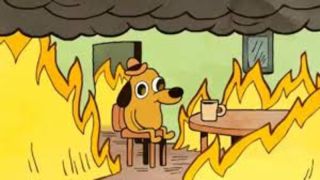 Best free Zoom backgrounds: This is fine dog