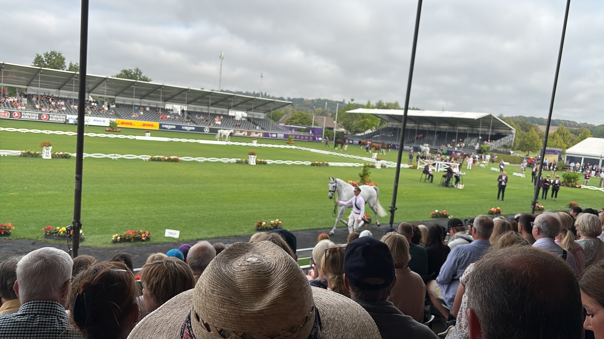 Ireland's team trot up at aachen world championships