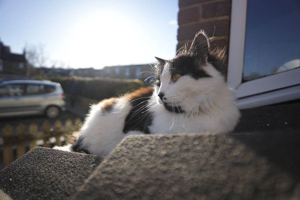 A test shot taken with Sigma 12mm f/1.4 DC | C lens showing the blurry background and shallow depth of field with its wide maximum f/1.4 aperture