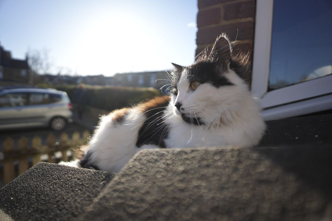 A test shot taken with Sigma 12mm f/1.4 DC | C lens showing the blurry background and shallow depth of field with its wide maximum f/1.4 aperture