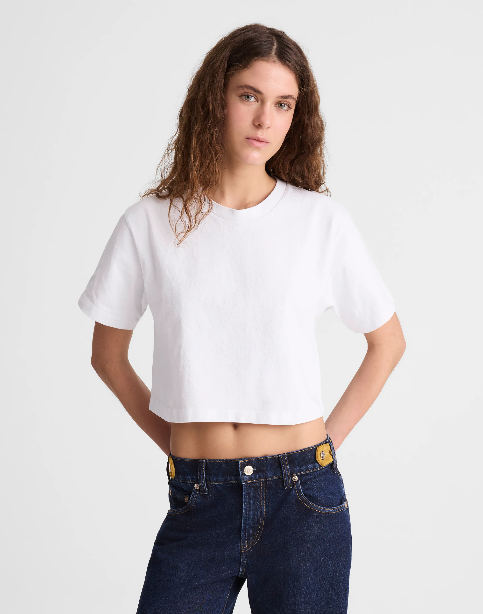 Madewell X Benjamin Talley Smith the Sullivan Boxy Crop Tee