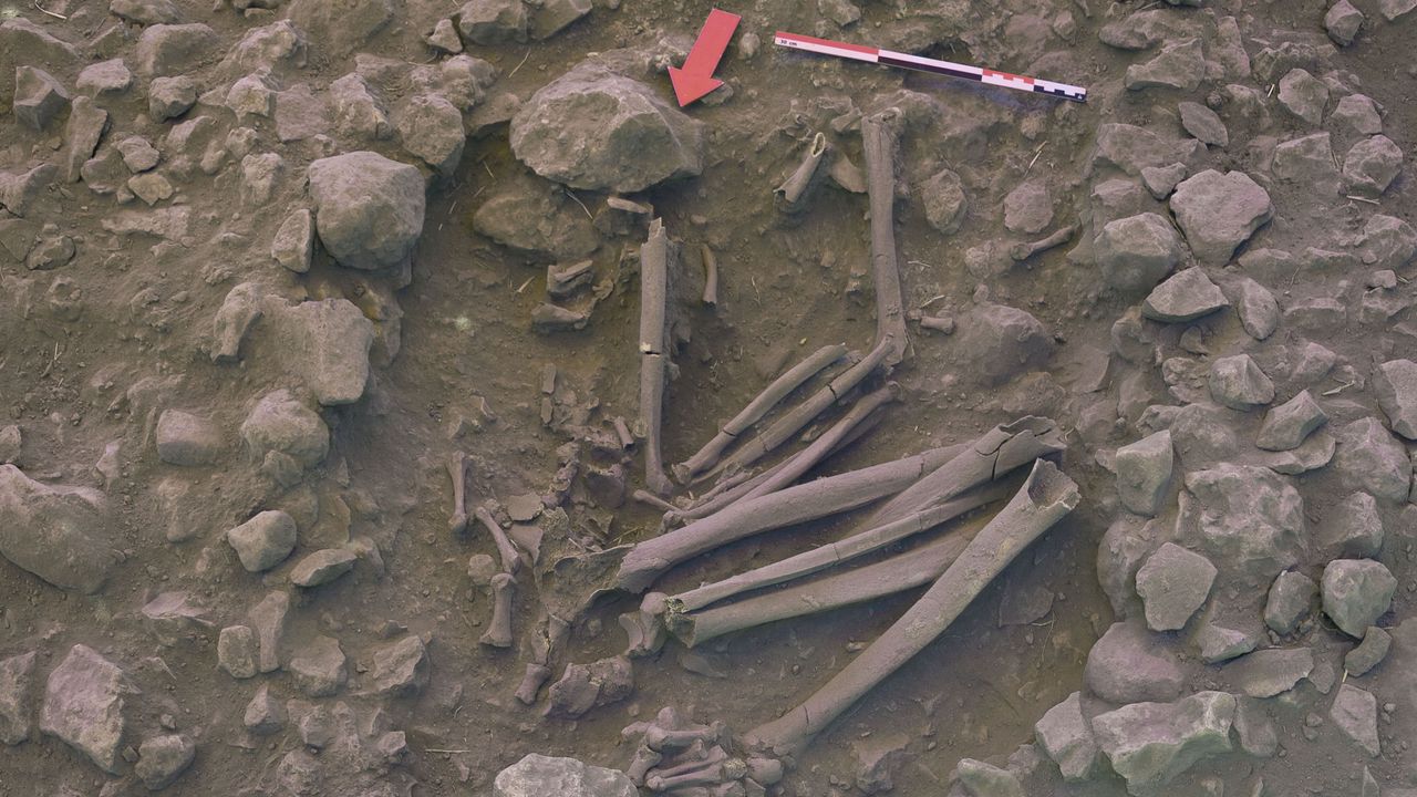 The archaeologists studied several distinct burials at Kharaysin. Many of the heads or long bones had been removed and reburied elsewhere.