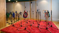 Various microphone stands set up in a studio on a red carpet