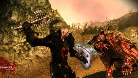  Dragon Age: Origins - PC : Video Games