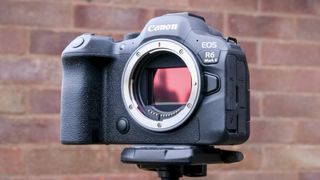 Canon EOS R6 II camera on a tripod with no lens and image sensor visible