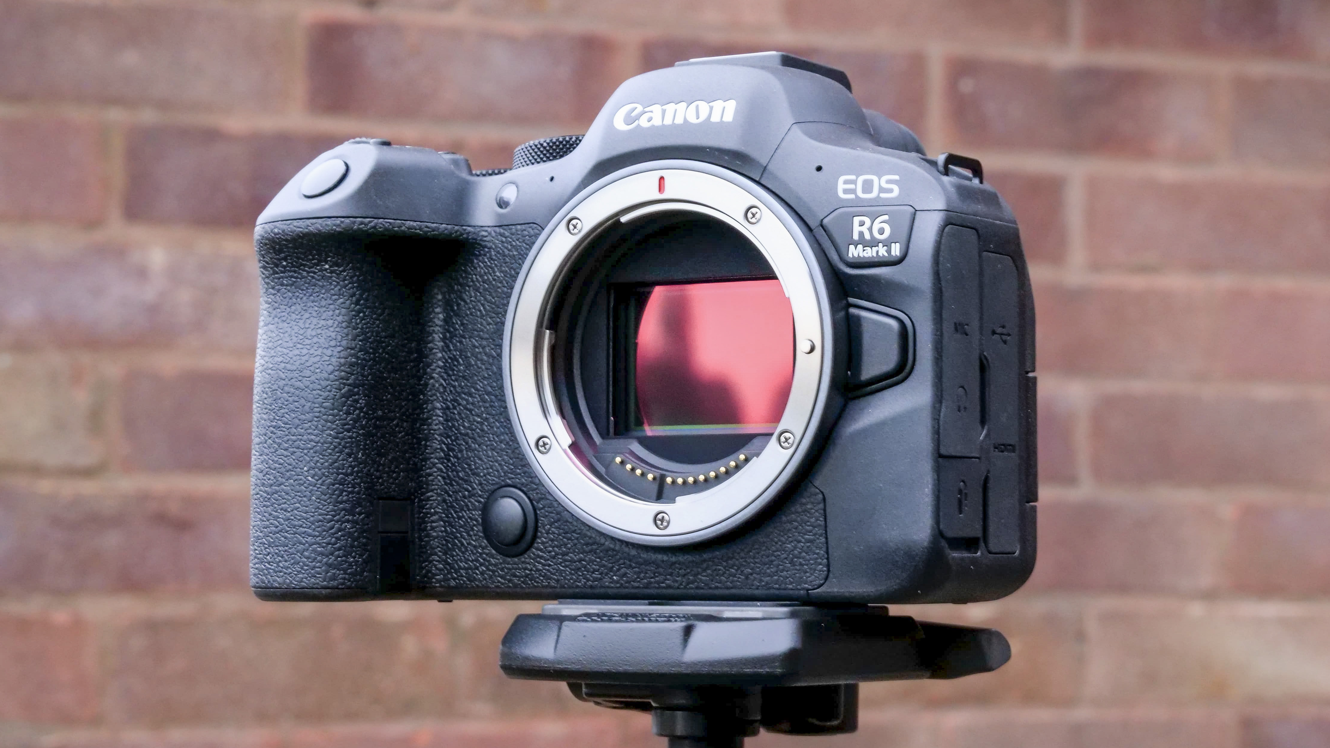 Canon EOS R6 II camera on a tripod  with no lens and image sensor visible